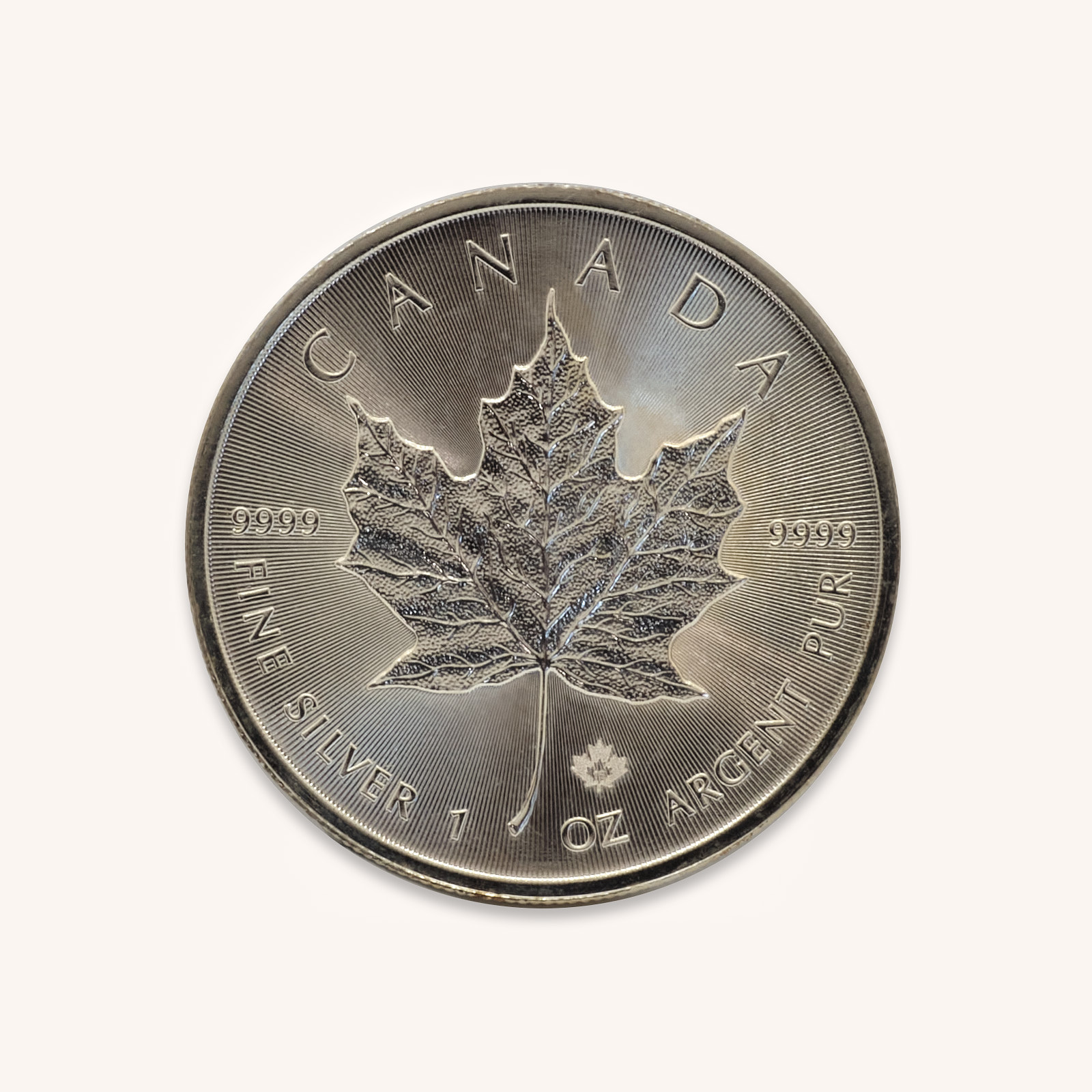 Maple Leaf Plata