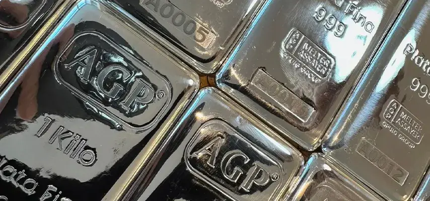 Lingotes de Plata con Certificación Oficial en Argentina